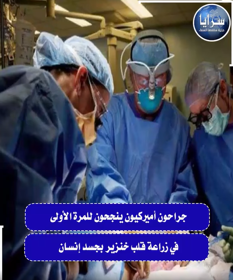 بالفيديو  ..  جراحون أميركيون ينجحون للمرة الأولى في زراعة قلب خنزير بجسد انسان