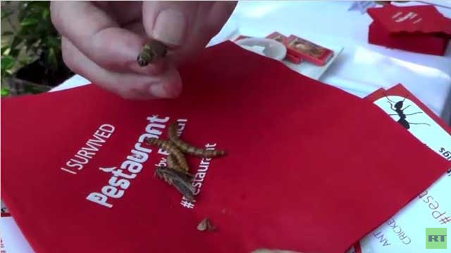بالفيديو ..  حشرات مطبوخة تقدم في أحد مطاعم واشنطن 