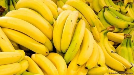 احذروا  ..  الاكثار من تناول الموز يعرضكم لأمراض خطيرة