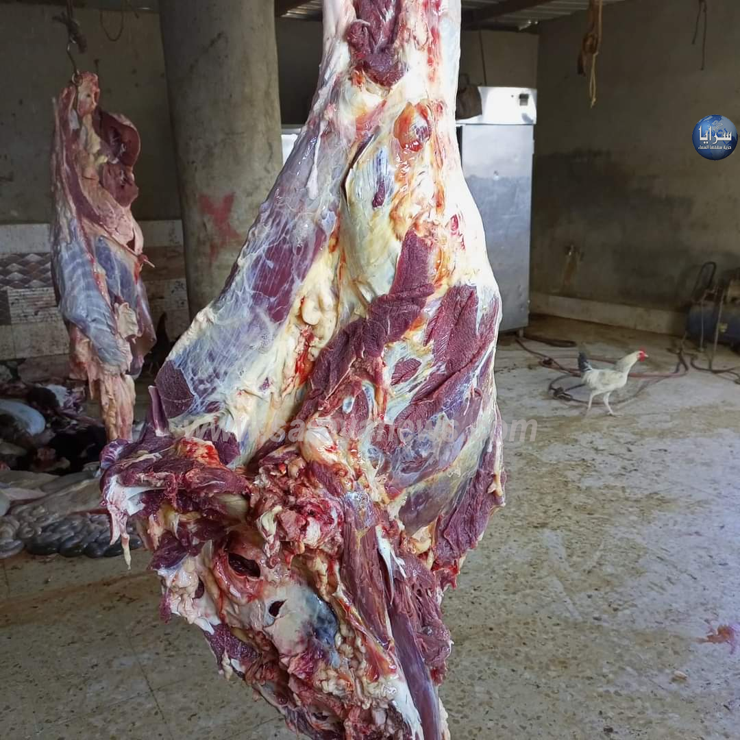 بالصور ..  ضبط لحوم ودجاج غير صالح للاستهلاك البشري في الرمثا 