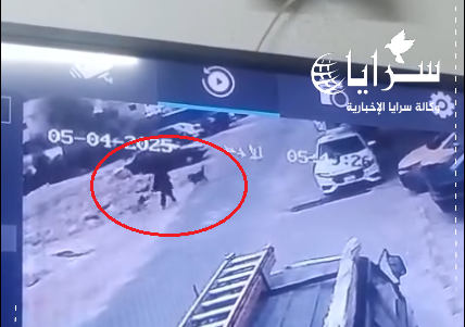 فيديو صادم  ..  كلاب ضالة تهاجم سيدة في أحد شوارع عمّان