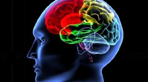 علماء يحفزون الدماغ لاستعادة قدرات الذاكرة الضعيفة