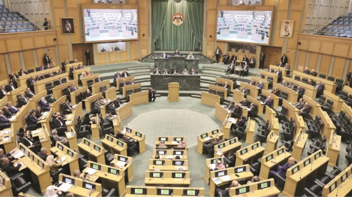 اللجان النيابية ..  الميدان ليس بديلا عن الوظيفة الدستورية