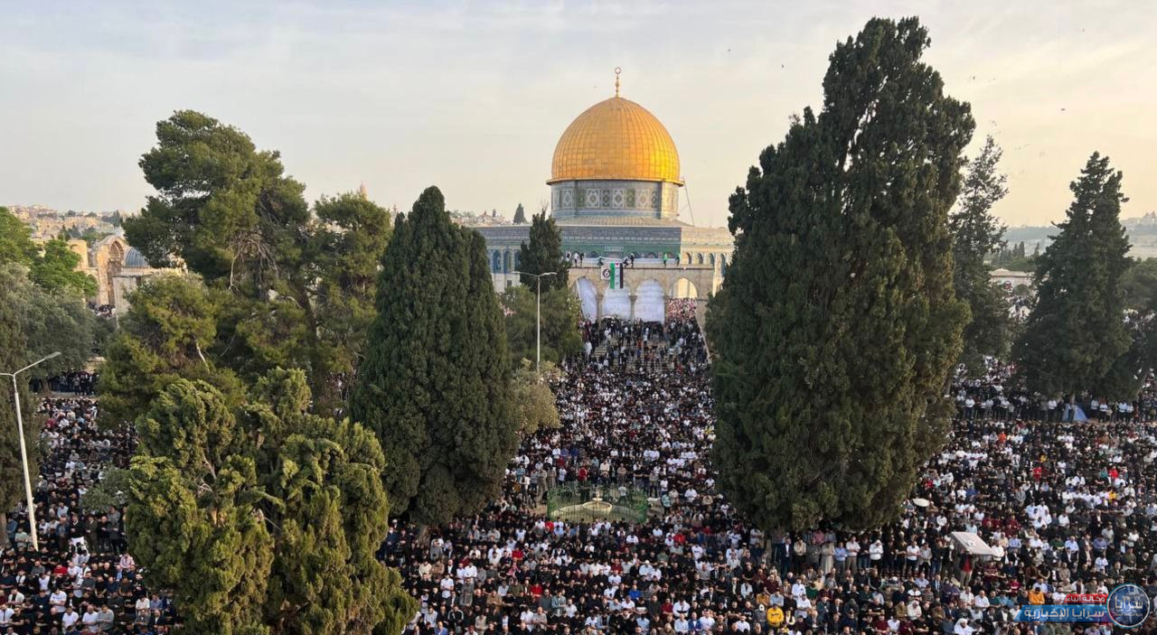 image.php?token=e74b8c6c66243af00ed3e60bc971ea19&size=xxlarge