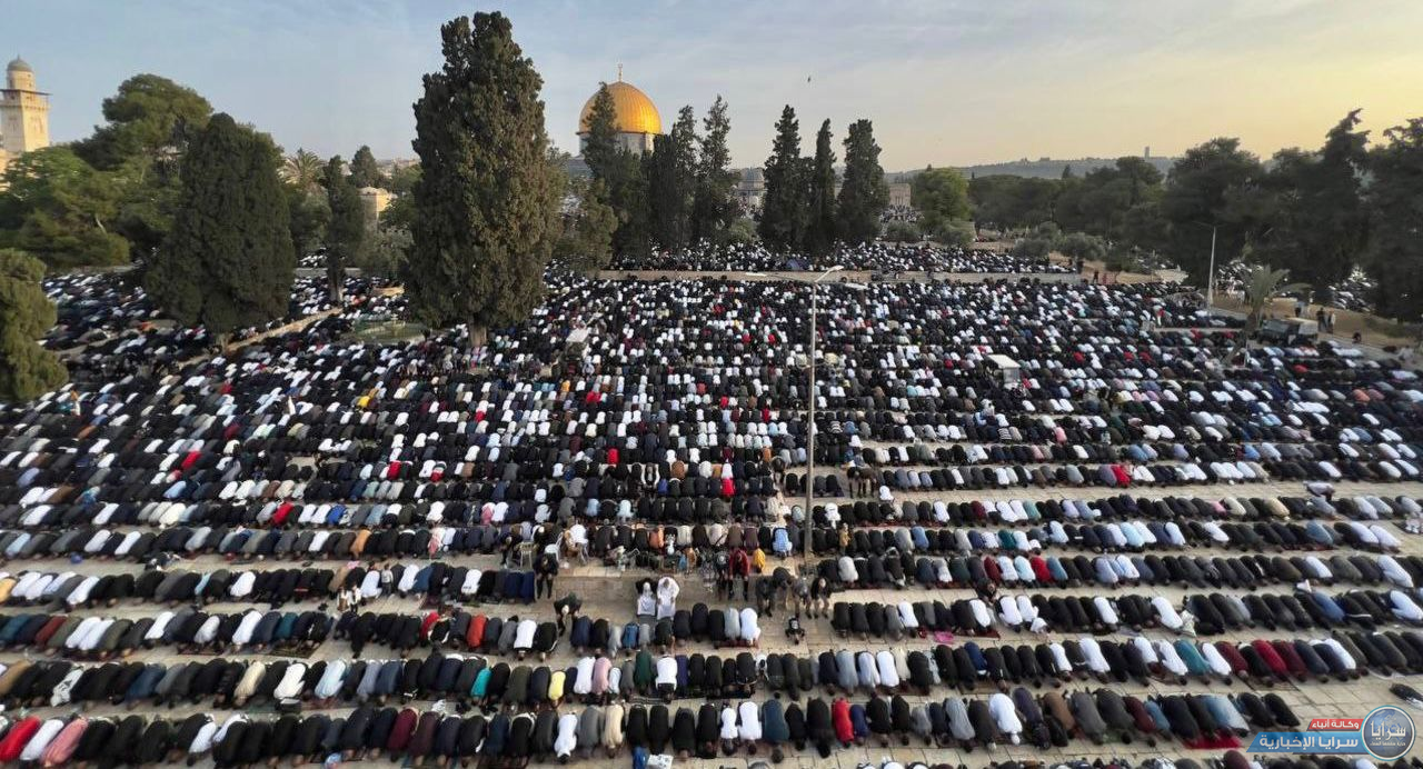 image.php?token=e7594c9ee50d65e44d6ce8ce3779f9ba&size=xxlarge