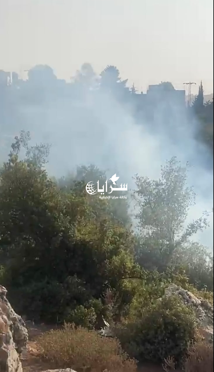 بالفيديو ..  حريق بأشجار حرجية بمحافظة عجلون   