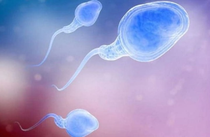 دراسة جديدة تمنح أملا للمصابين بالعقم ..  تعرف عليها