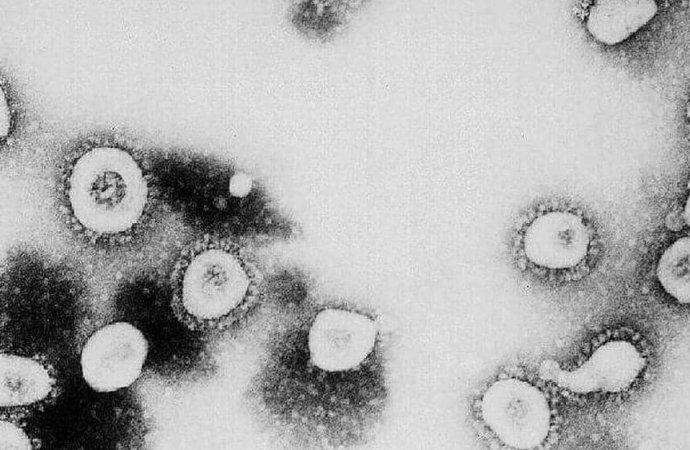 "كورونا الجديد" ..  فيروس أسرع انتشارا وأقل عدوانية