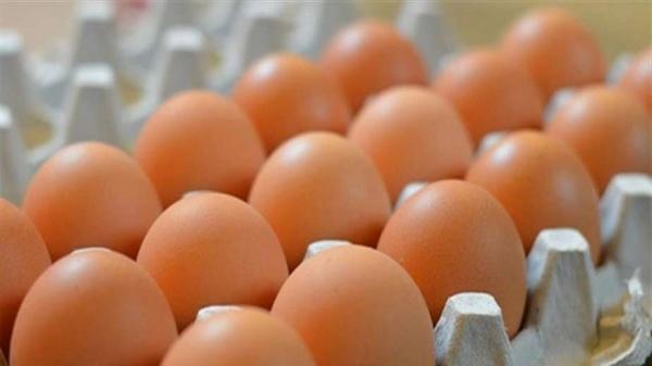 أفضل طريقة ..  لحفظ البيض لمدة طويلة