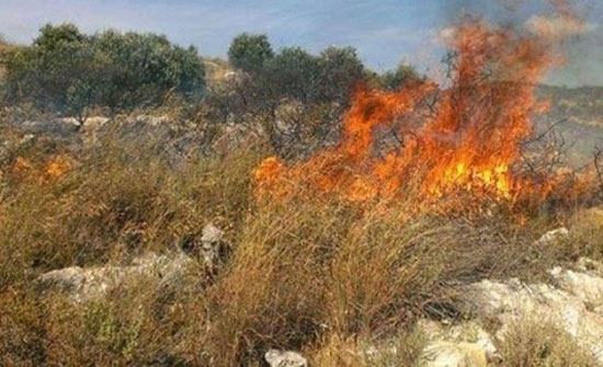 اربد : حريق يلتهم (7) دونمات في قرية صمد