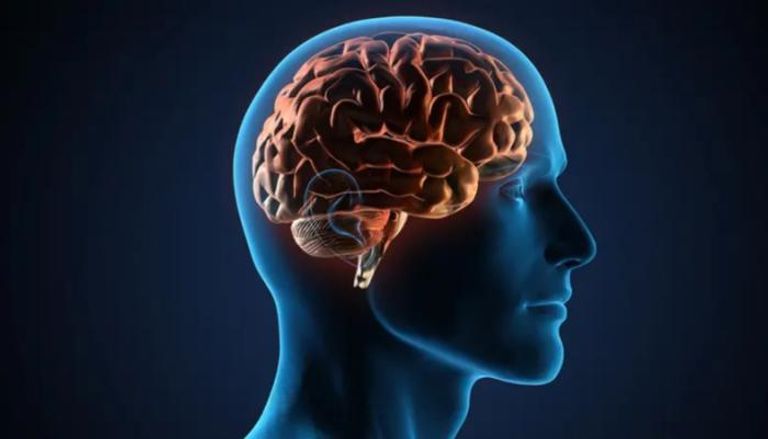 التوتر والنوم ..  حيلة بسيطة لإعادة ضبط الدماغ