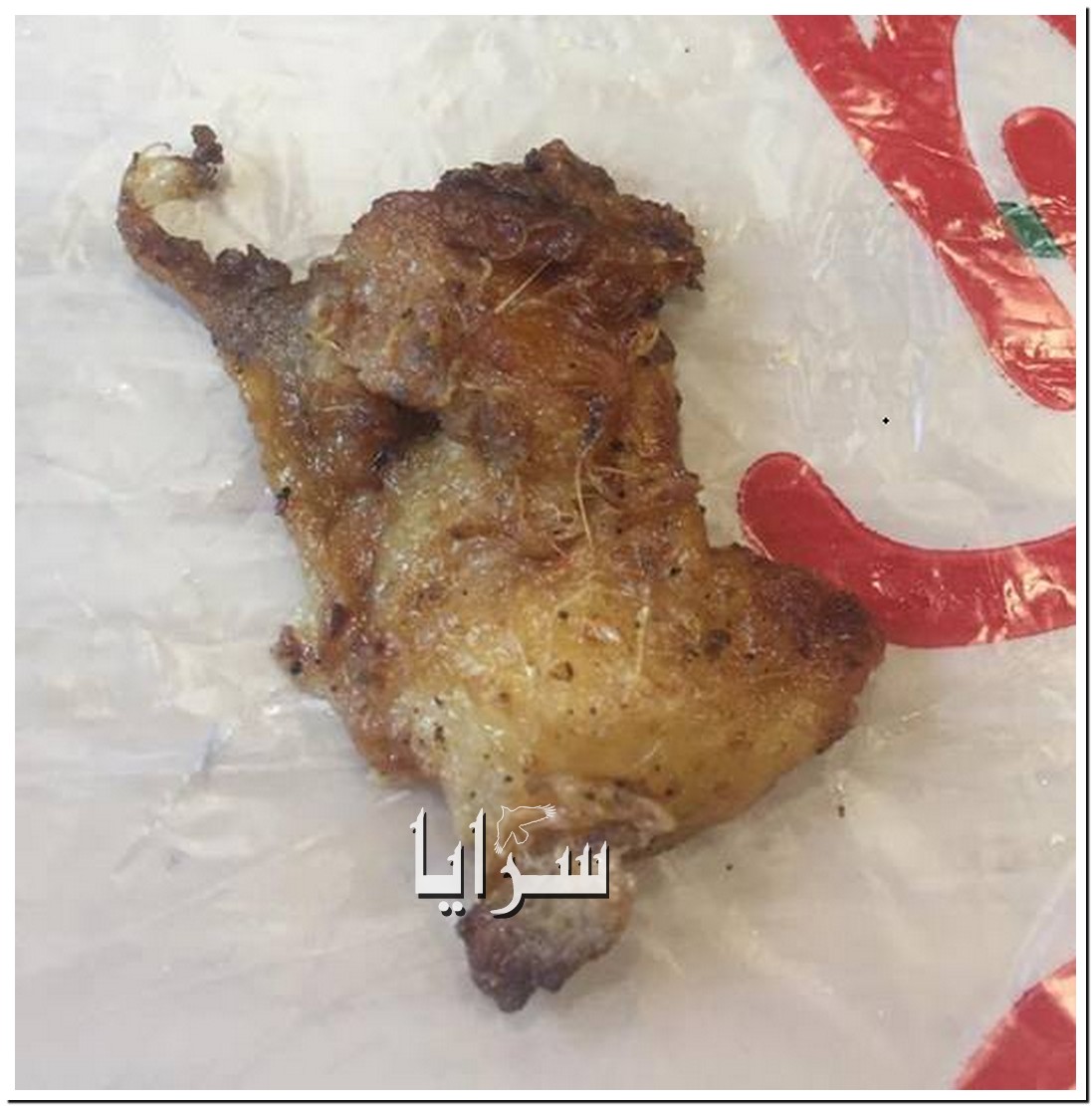 عمان : مطعم شعبي مشهور يقدم الدجاج  مع "ريشه" للزبائن   ..  صورة