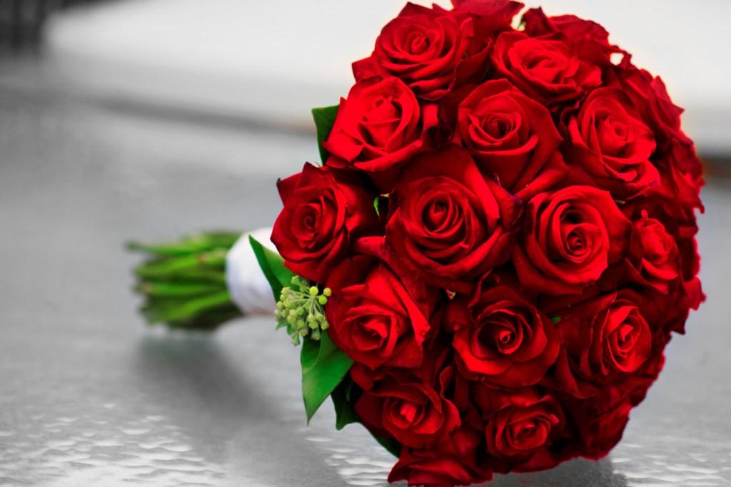 معالي السيد علي الغزاوي يترأس جاهة آل غوشة