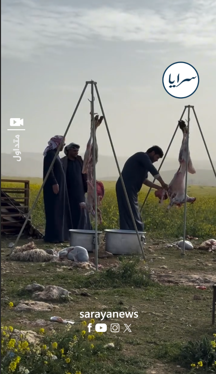 ماذا تعرف عن مخيم عبود الخالدي السياحي في بريقة المفرق  ..  فيديو 