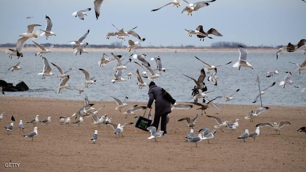 نيويورك تطفئ أنوارها للطيور المهاجرة