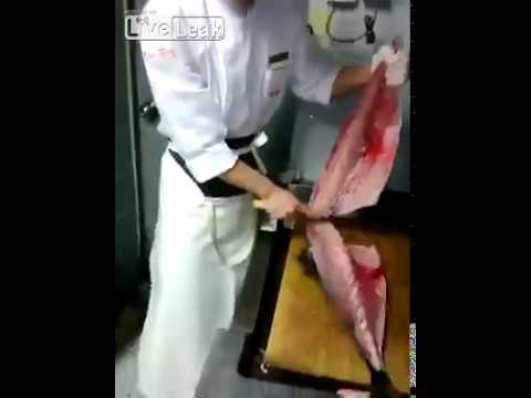 بالفيديو: سمكة تبقى حية بعد قطع رأسها وتنظيف أحشائها