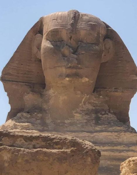 تمثال "أبو الهول" يثير ضجة في مصر بعد انتشار فيديو له "نائما" ..  وخبير يوضح