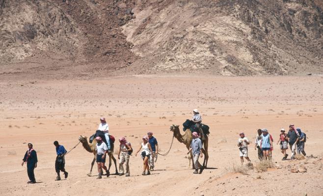 إغلاق 50 مكتب سياحة وسفر منذ بداية العام