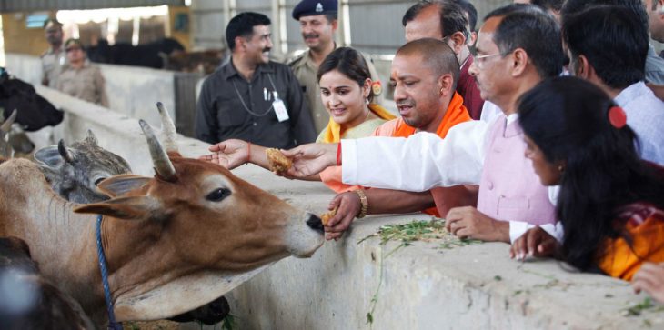 مقتل مسلم كان ينقل أبقارًا في الهند