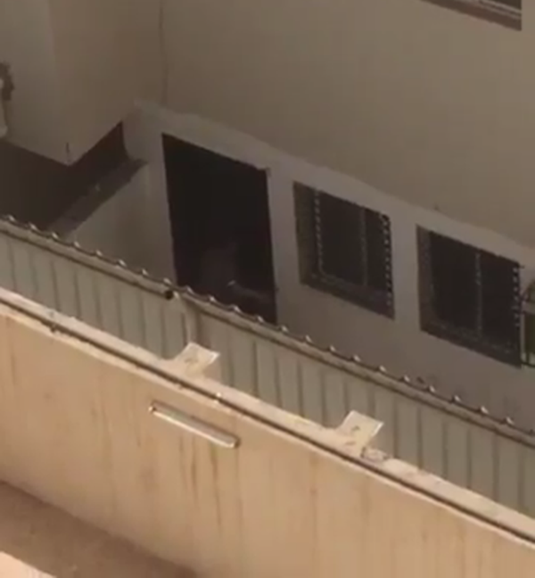 طفل حبسته زوجة أبيه في المنزل دون طعام