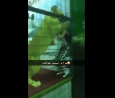 فيديو مروع  ..  لحظة هجوم أسد على طفلة  اثناء عرض في السعودية