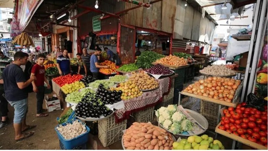 مليون شيكل الخسائر اليومية جراء منع الاحتلال تصدير مزروعات غزة