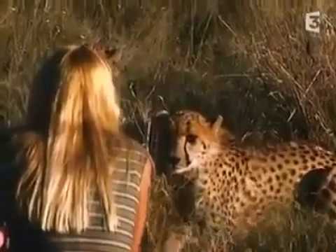 فيديو مرعب لفتاة وسط مجموعة من النمور .. وهذا ما فعلته ناشيونال جيوجرافيك!
