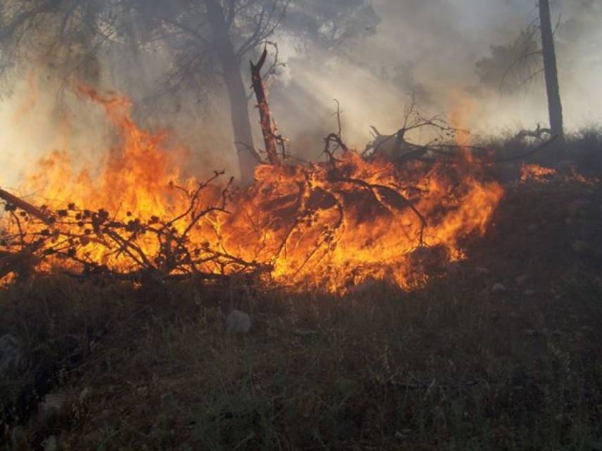 إخماد حريقي محاصيل زراعية في إربد