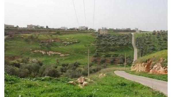 1.3 مليون دونم الأراضي المسجلة حراجا بالأردن