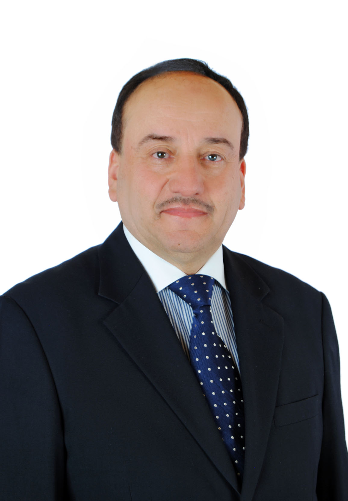 الحكومات البرلمانية
