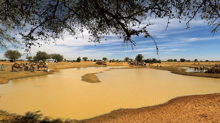الأبيض ..  مدينة سودانية تخوض حربا "بالدروع البشرية"