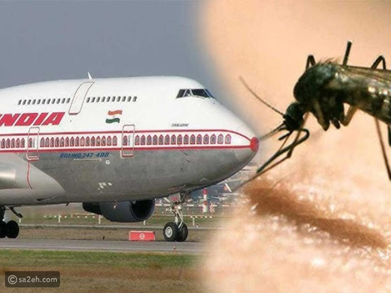 مضيفات هنديات يطاردن بعوض داخل طائرة بمضارب كهربائية