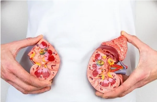 5 عادات يومية قد تضر كلى النساء بعد سن الـ40