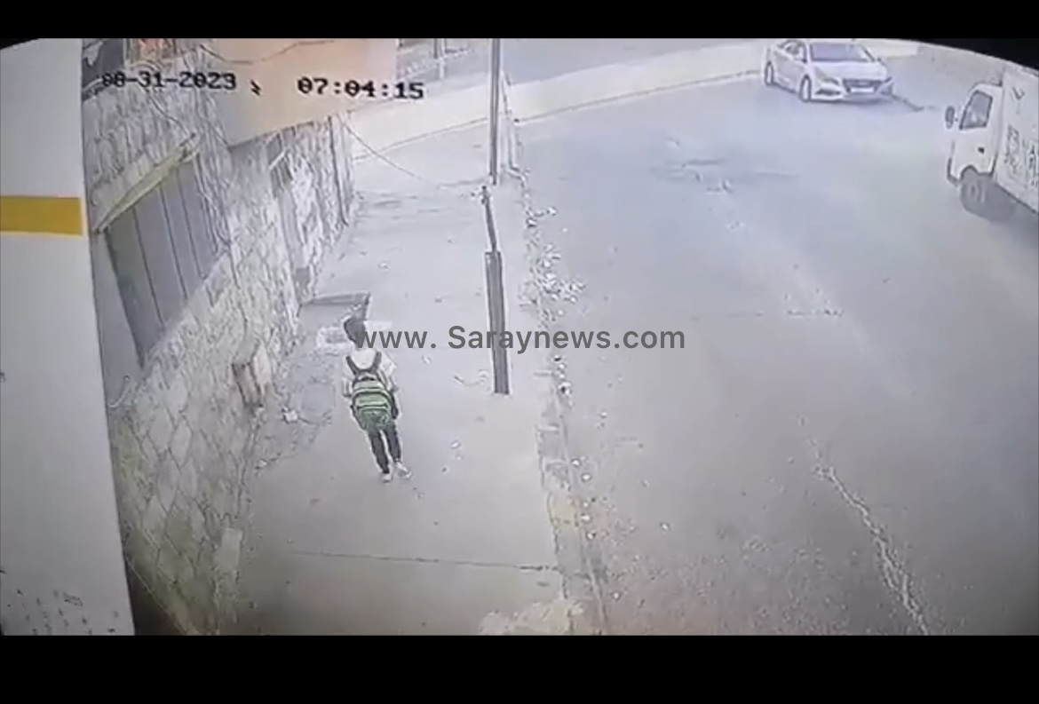 بالفيديو ..  كِلاب ضالة تُطارد طالباً في شارع الرشيد بمدينة اربد