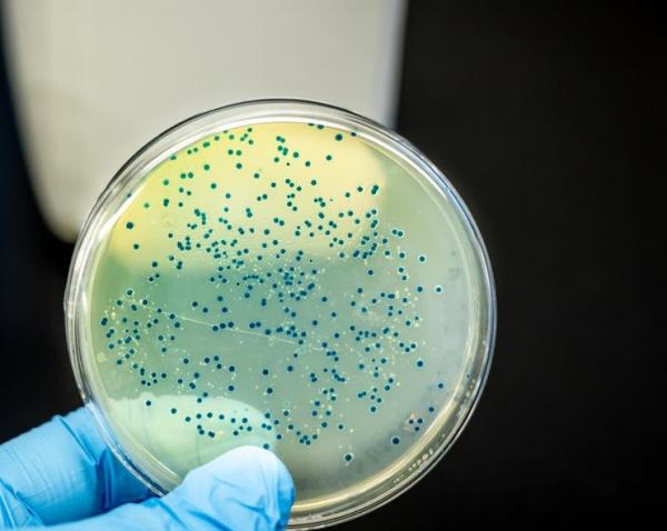 بكتيريا جديدة تجتاح الصين وتفزع العالم