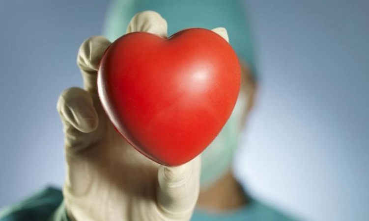 عادات يومية بسيطة للوقاية من أمراض القلب