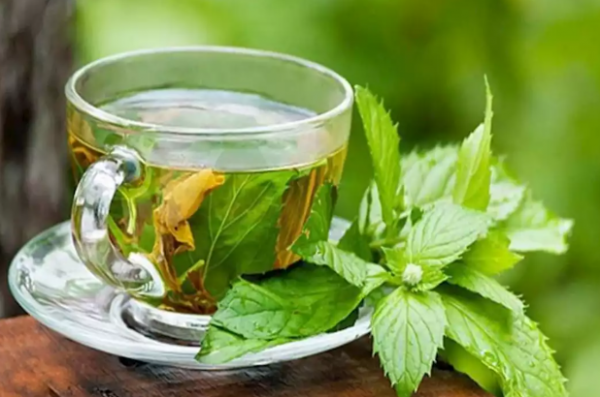ما الفوائد الصحية لشرب النعناع يومياً؟