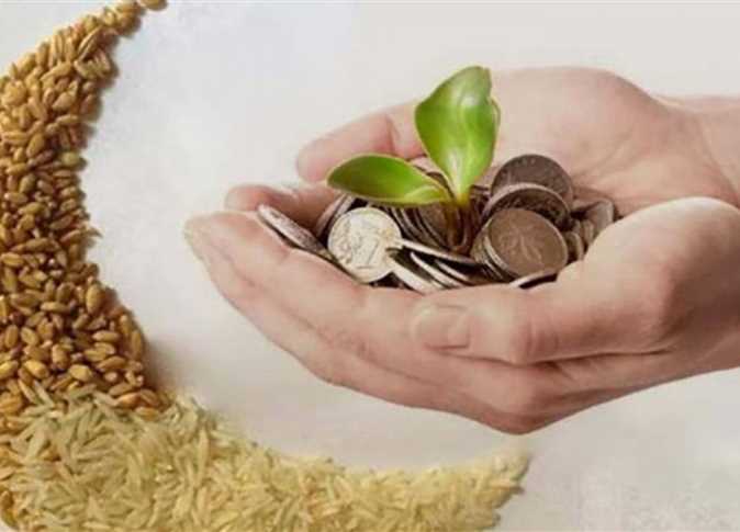 هل تجب زكاة الفطر على الجنين