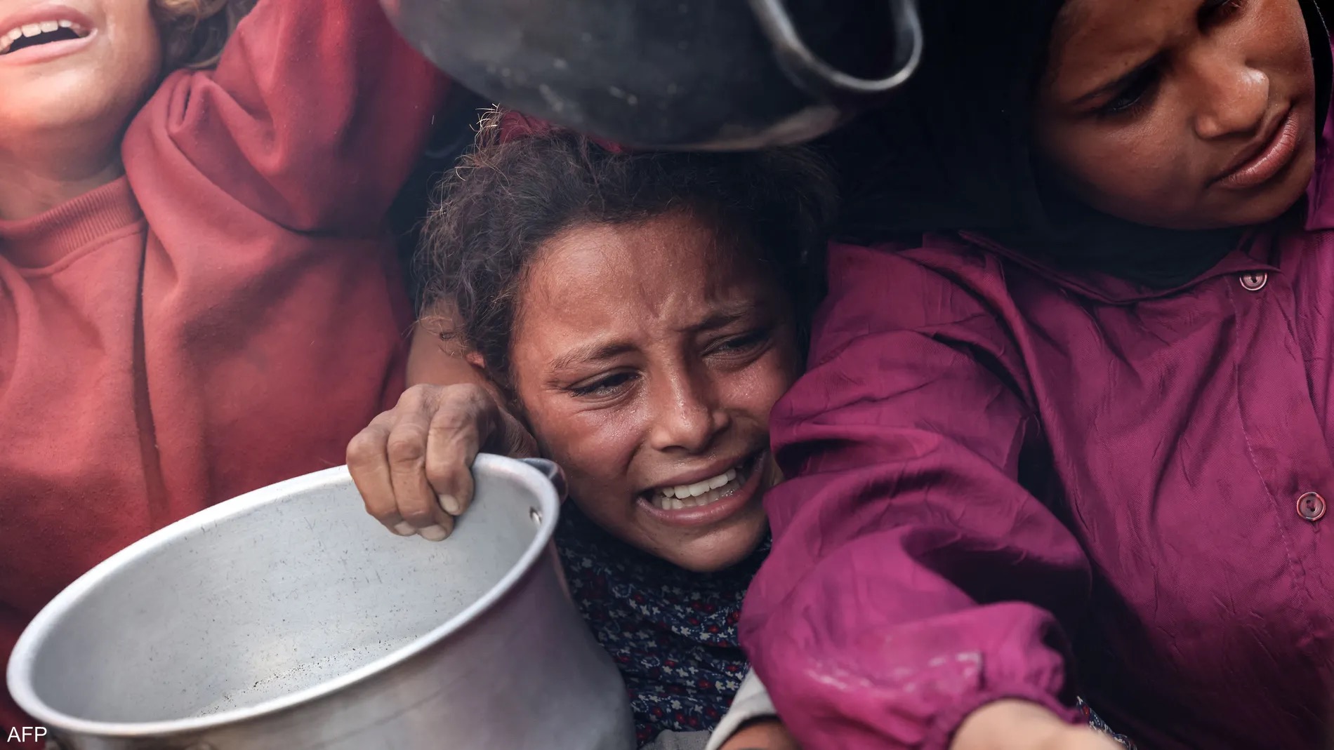 فضيحة تبرعات غزة: نصف مليار دولار تكشف المتاجرة بالقضية منذ عقود نهبتها مؤسسات إخوانية