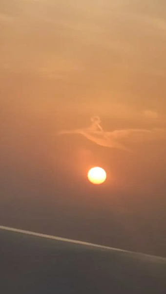 صورة تشغل العديد من السعوديين  ..  طفل على ظهر طير فوق الرياض