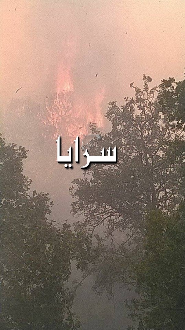 بالفيديو والصور  ..  حريق ضخم في محمية دبين بجرش