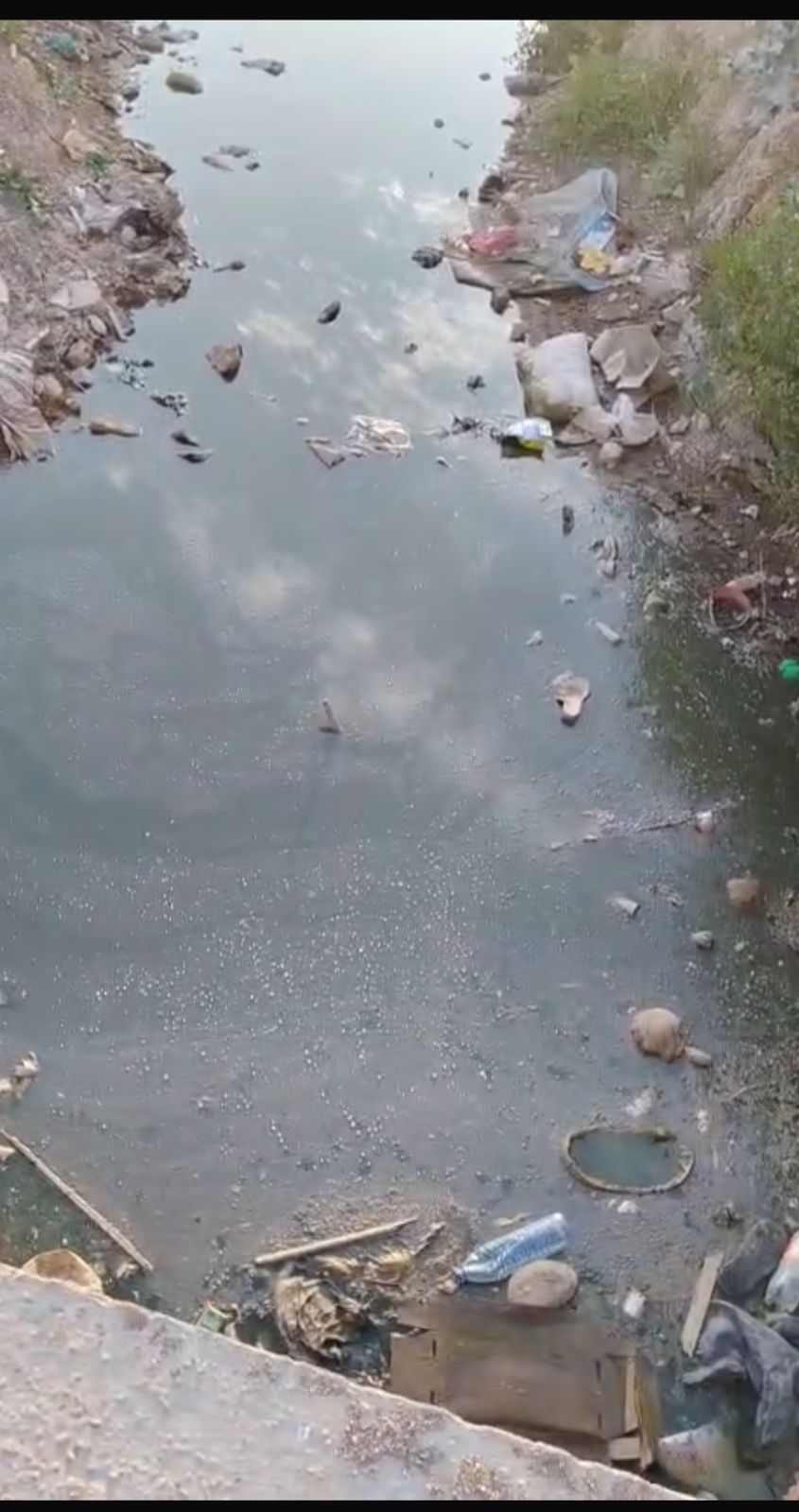 بالفيديو : مواطن من مادبا يعاني من مشكلة الصرف الصحي منذ 2013 ويناشد عبر سرايا لحلها