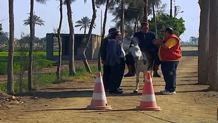 كمين مرور للحمير