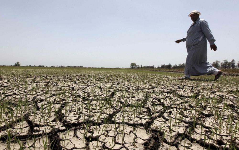 إيسيسكو: 29 دولة إسلامية تعاني الإجهاد المائي