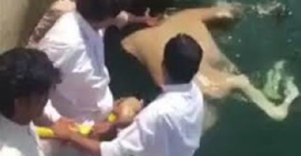 بالفيديو .. عملية إنقاذ مثيرة لجمل سقط من إحدى السفن بميناء الشويخ في الكويت   