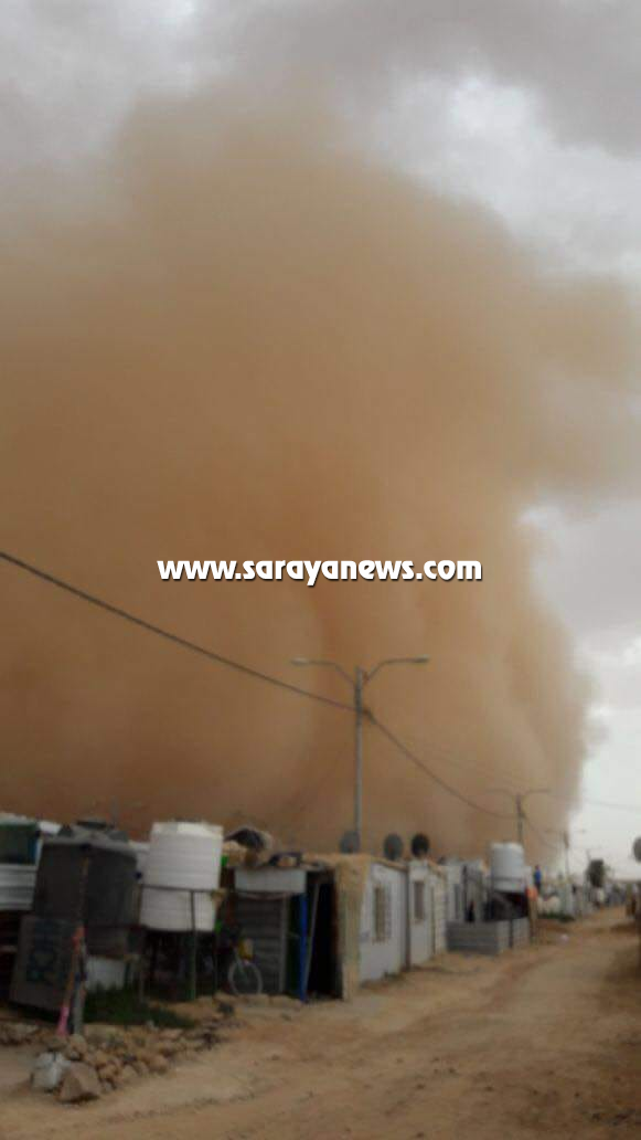 saraya news