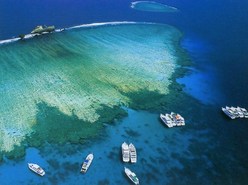 بالصور  ..  تعرف على أشهر الجزر السياحية في المملكة