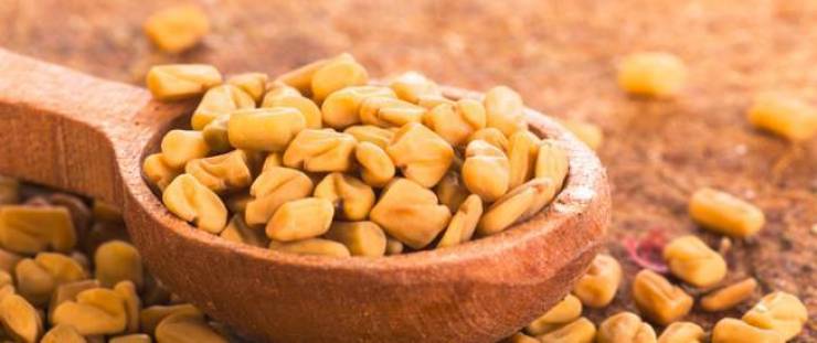 تعرف على فوائد الحلبة