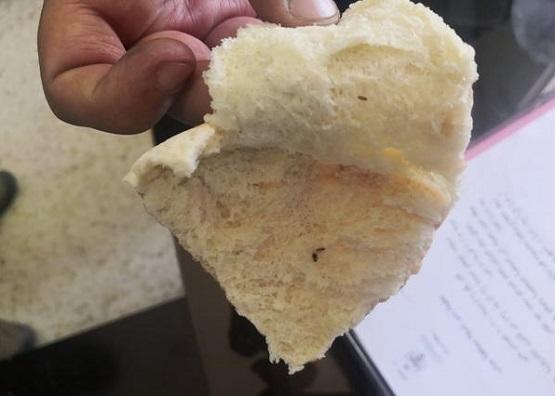 إغلاق مخبز في جرش بعد العثور على صراصير داخل أرغفة الخبز المعدّة للبيع ..  صورة