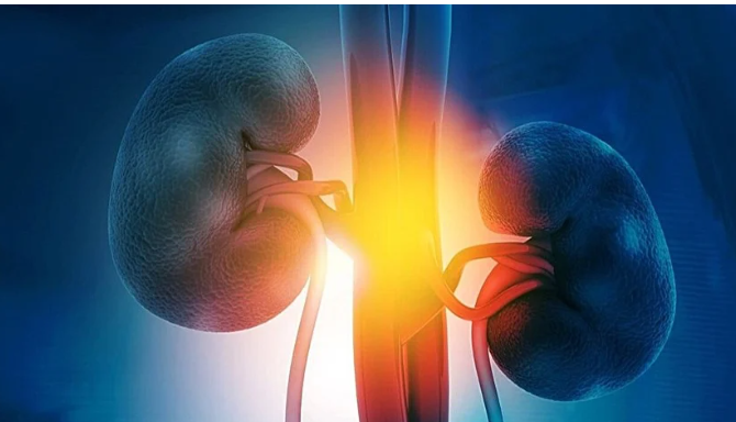 اجتماع أمراض الكلى والسكري يقصّر عمر القلب